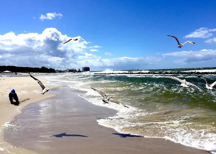 Apartamento Solaris Premium *